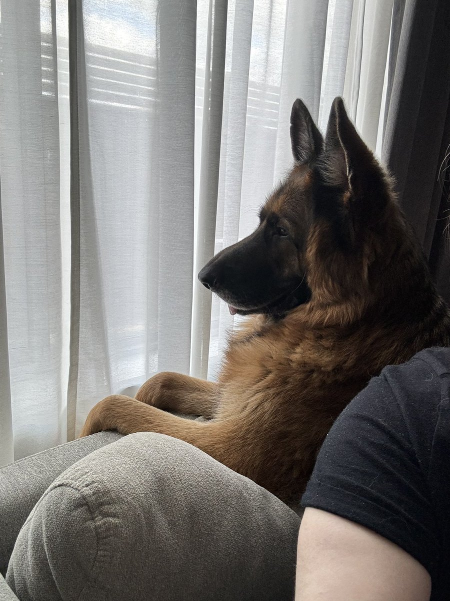 Hayley 👽 tweet media