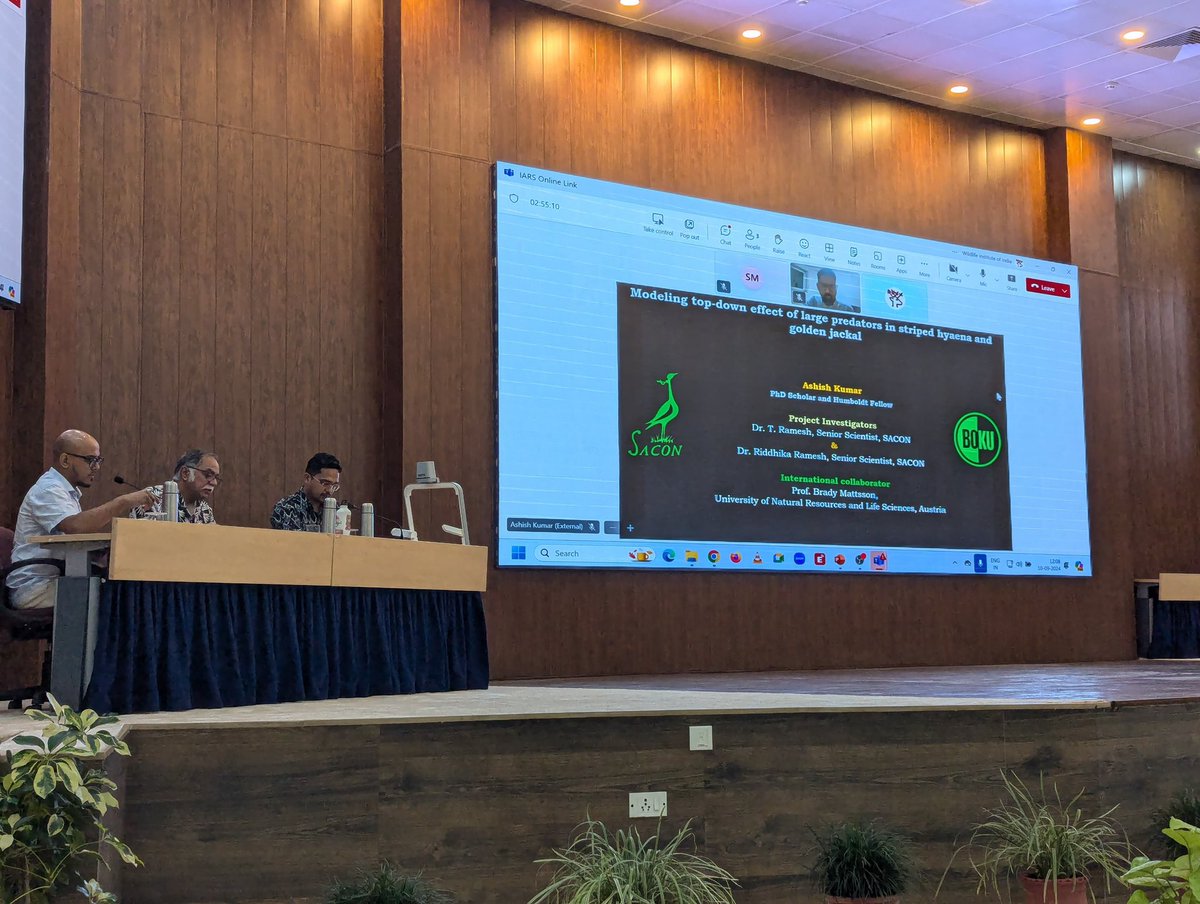 wii_india's tweet photo. Ashish Kumar presented on Top-down effects of large predators on striped hyaena and golden jackal at XVII IARS,2024.
#IARS2024 #WildlifeResearch #stripedhyaena #goldenjackal #mesocarnivore #randomforest
@moefcc @vrtiwari1 https://t.co/B70sLNjxd1