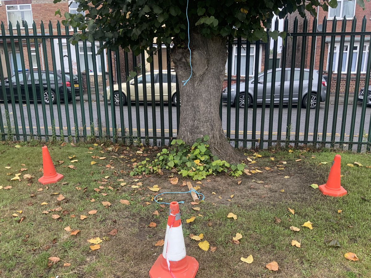 What do you think has happened?

Year 3 and 4 investigated a scene yesterday morning to get clues about what their next writing unit will be about. The children then discussed possibly dangers, plots and vocabulary. We cannot wait to see their final pieces in a few weeks.