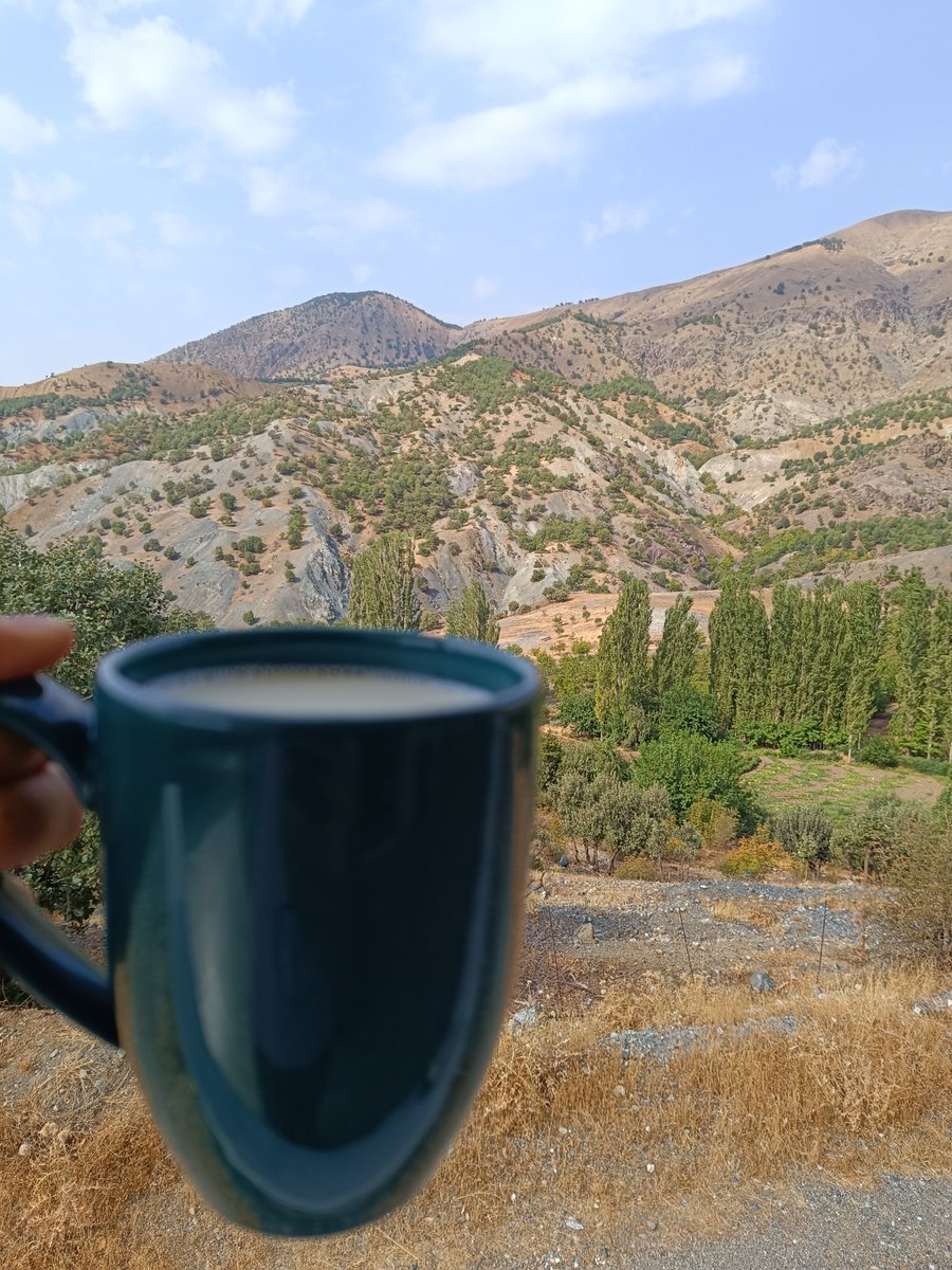 🌼🦋 Beybûn/ Papatya tweet media