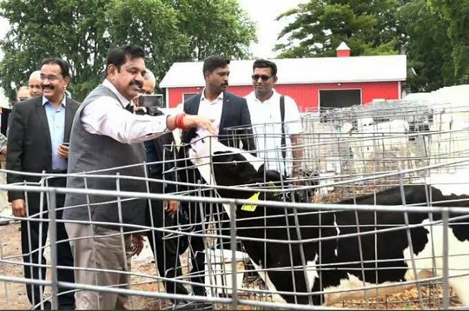 satyenaiadmk's tweet photo. மாடும், விவசாயமும் தமிழ்நாட்டின் பண்பாட்டு அடையாளங்கள்!

அதை நாத்தம் என்று சொல்வது திமுகவின் DNAவில் ஊறிப்போய் இருக்கும் பண்ணையார்த்தனம்.

மேலே உள்ள படம் உங்கள் வழக்கமான வெற்று விளம்பர நாடகம். 

கீழே உள்ள படம், தலைவாசலில் 1000 கோடி ரூபாய் செலவில் கட்டப்பட���டு, உங்கள் விடியா அரசால் மூன்றாண்டுகள் கிடப்பில் போடப்பட்டுள்ள உலகத்தரம் வாய்ந்த கால்நடைப் பூங்காவிற்கான அடித்தளம்!

சட்டம் ஒழுங்கு சீர்கேடு, 
போதைப்பொருள் புழக்கம்,
பெண்கள் பாதுகாப்பு கேள்விக்குறி,
ஜாதிய தீண்டாமை,

இவை தான் இன்றைய தமிழ்நாடு!

என எதற்கும் பதில் சொல்லாத, விளம்பரம் என்றால் மட்டும் கையசைத்து நடக்கும் பொம்மை முதல்வரின் அங்கீகாரம் பெற்ற தொலைக்காட்சியின் எகத்���ாளப் பதிவிற்கான பதிலை தமிழ்நாட்டு விவசாயிகளும், மக்களும் நிச்சயம் திமுகவிற்கு அளிப்பார்கள்!
