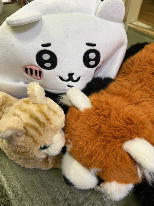 お別れの挨拶中のこしあんパイセンとちいかわさんとらいちゃん🥰おともだち出来て良かったねぇ🩵 https://t.co/qKVjS8qdhq