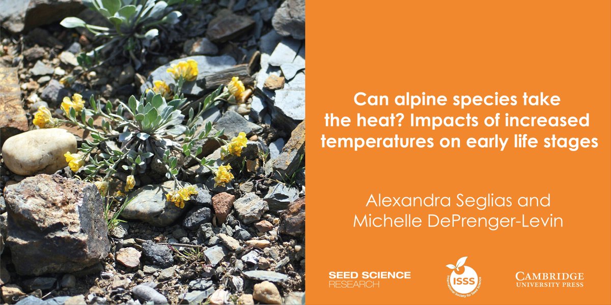 SeedSciRes's tweet image. #NewPaper 🚨: Can alpine species take the heat? Impacts of increased temperatures on early life stages @AlexSeglias 🌡️⛰️🌱  #ClimateChange #AlpineBotany #SeedEcology  (1/6) buff.ly/4efsE9I