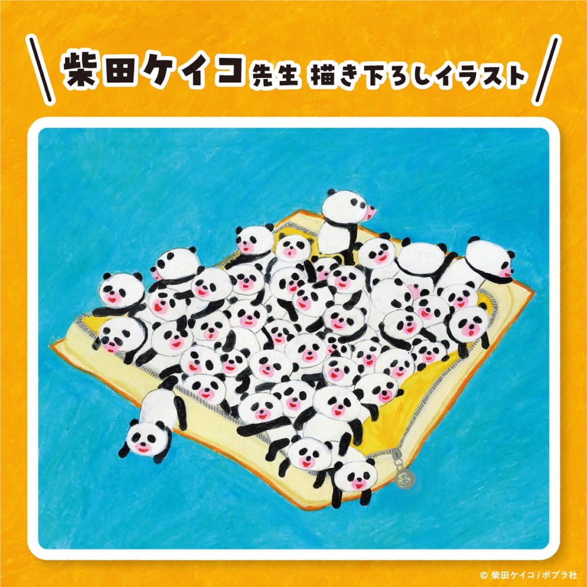 子パンダ様専用 有難