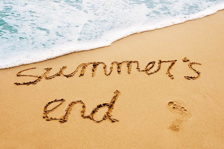 Creative Slashers tweet media