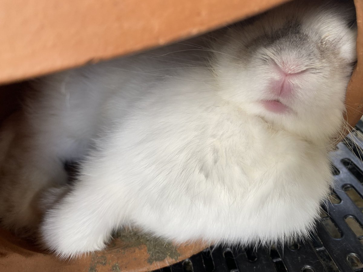 shetimeee's tweet image. 