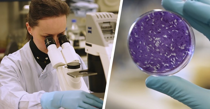 기생충을 이용한 뇌 질병 치료가 가능할까? dlvr.it/TD2xG6