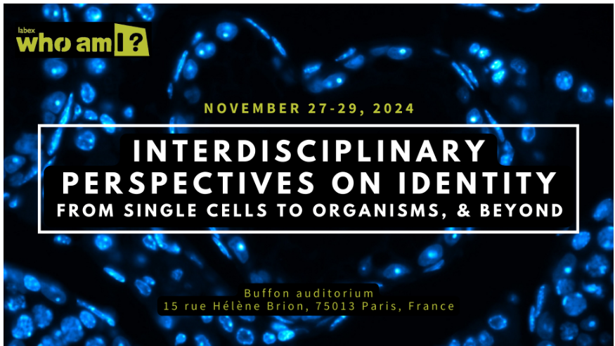 GdR_Reproduction tweet media