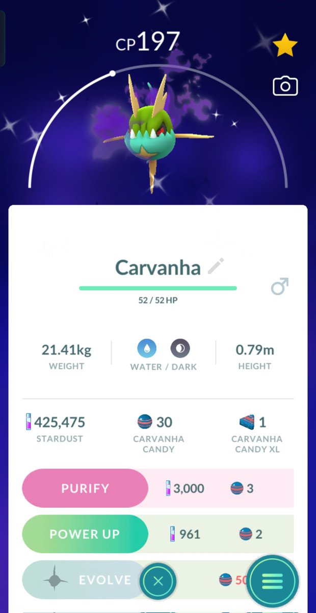 Miel ☀️ tweet media