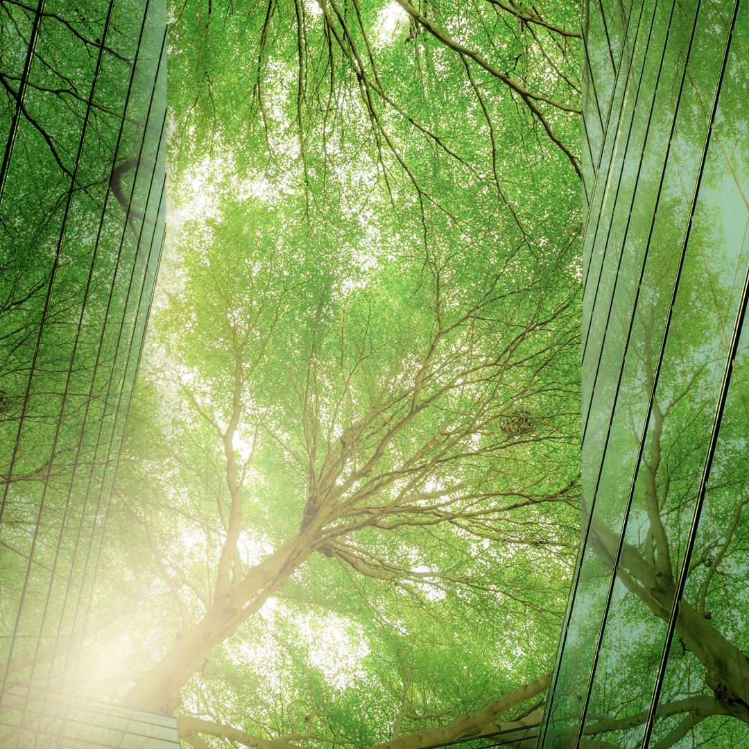 We’re always thinking about sustainability!

Reduction of embedded carbon is a fundamental part of good structural design. We're adept at minimising the use of embedded carbon and building materials in genera. 

#GreenConstruction #SustainableBuilding #CarbonReduction