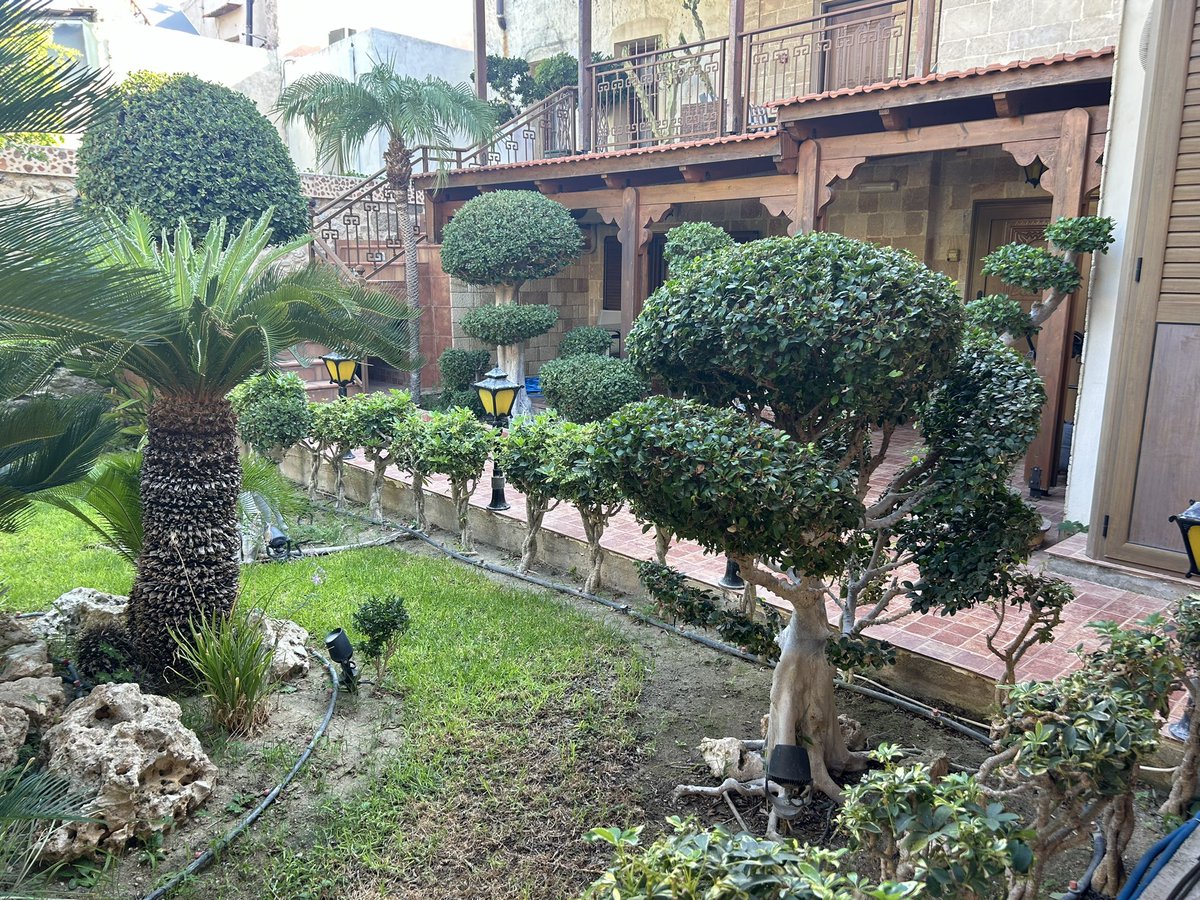 Got a full on case of garden envy at this little hotel I’m staying at 🥰🇬🇷🌴