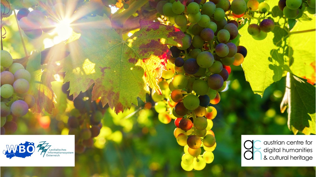 ACDH_OeAW's tweet photo. Zu Beginn der heurigen Weinlese gibt es Berichte darüber, dass sich die Hitze der vergangenen Wochen auf die Trauben ausgewirkt hat. Das Wort herbstfaul 'durch Hitze oder Trockenheit geschädigt (von Trauben)' gibt es dafür auf #LIÖ #Wörtertag 👉https://t.co/917VCRnZFN https://t.co/DfRzSoXCoF