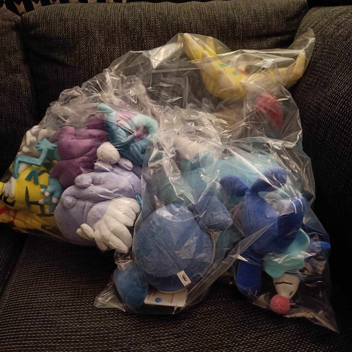Chiko_Charm's tweet image. Another Meccha Japan order ✨ 
#GougingFire #RagingBolt #WalkingWake #Popplio #Wailmer #Finizen #Pokemon #PokemonCenter #PokemonPlush