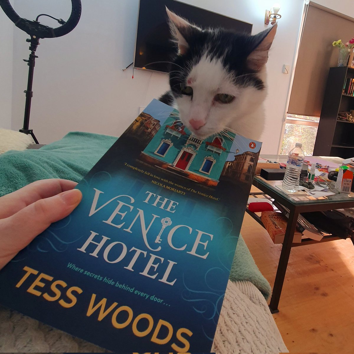 I'm #CurrentlyReading The Venice Hotel by <a href="/TessWoodsAuthor/">Tess Woods</a> with a cat on my lap. Perfect end to the day 😻