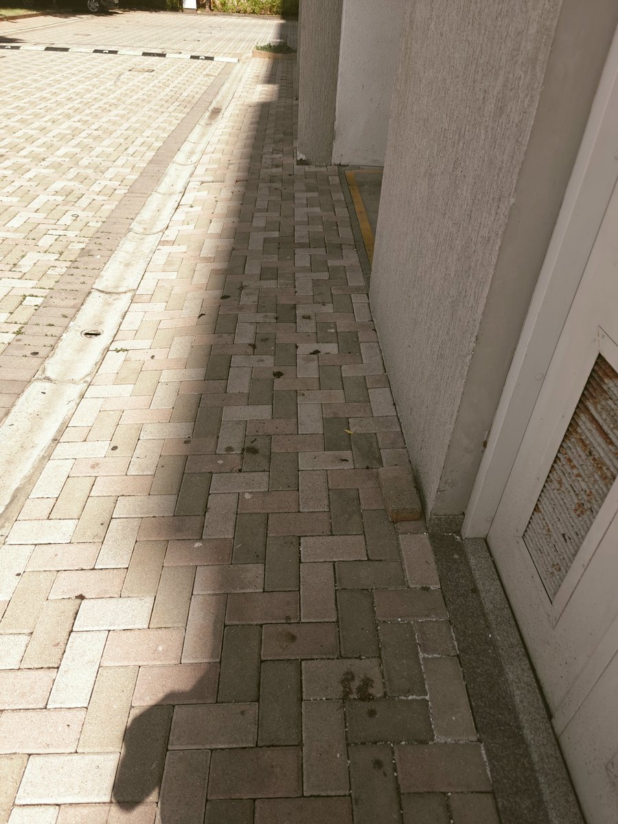 Madhan275's tweet photo. (2/2) Also, cleaning is inadequate. Attached is an image of the path and Block 9 entrance. I see more than 10-15 tickets on Apnacomplex opened by multiple owners/tenants over the past few months, yet no action has been taken. #sobhameritta #Sobha https://t.co/ajCqsQJONV