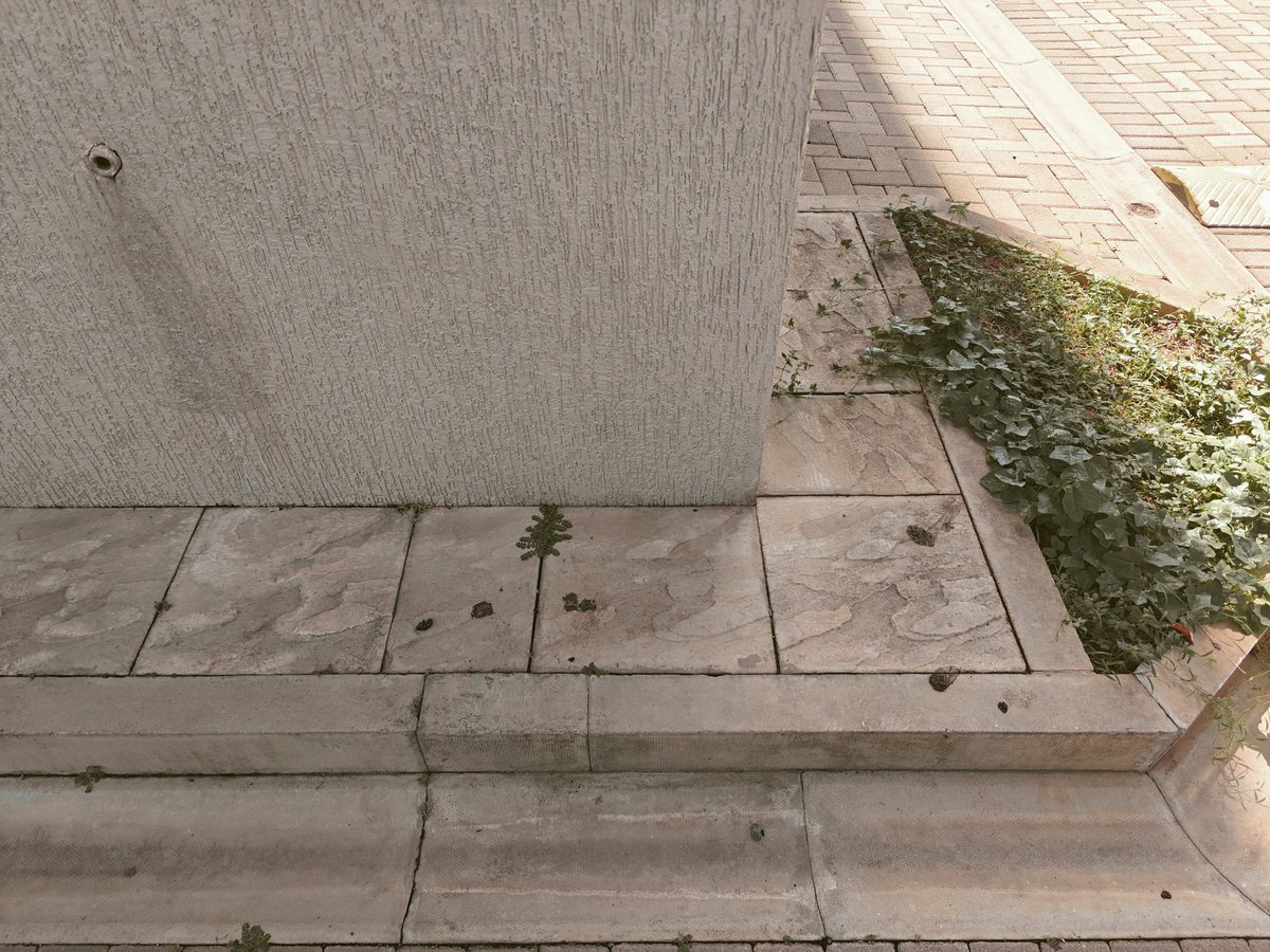 Madhan275's tweet photo. (2/2) Also, cleaning is inadequate. Attached is an image of the path and Block 9 entrance. I see more than 10-15 tickets on Apnacomplex opened by multiple owners/tenants over the past few months, yet no action has been taken. #sobhameritta #Sobha https://t.co/ajCqsQJONV