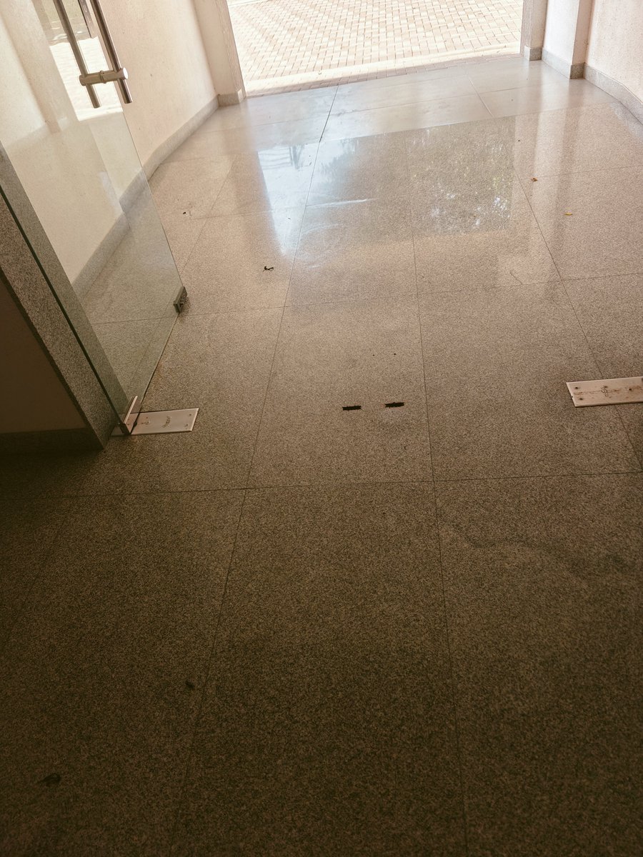 Madhan275's tweet photo. (2/2) Also, cleaning is inadequate. Attached is an image of the path and Block 9 entrance. I see more than 10-15 tickets on Apnacomplex opened by multiple owners/tenants over the past few months, yet no action has been taken. #sobhameritta #Sobha https://t.co/ajCqsQJONV