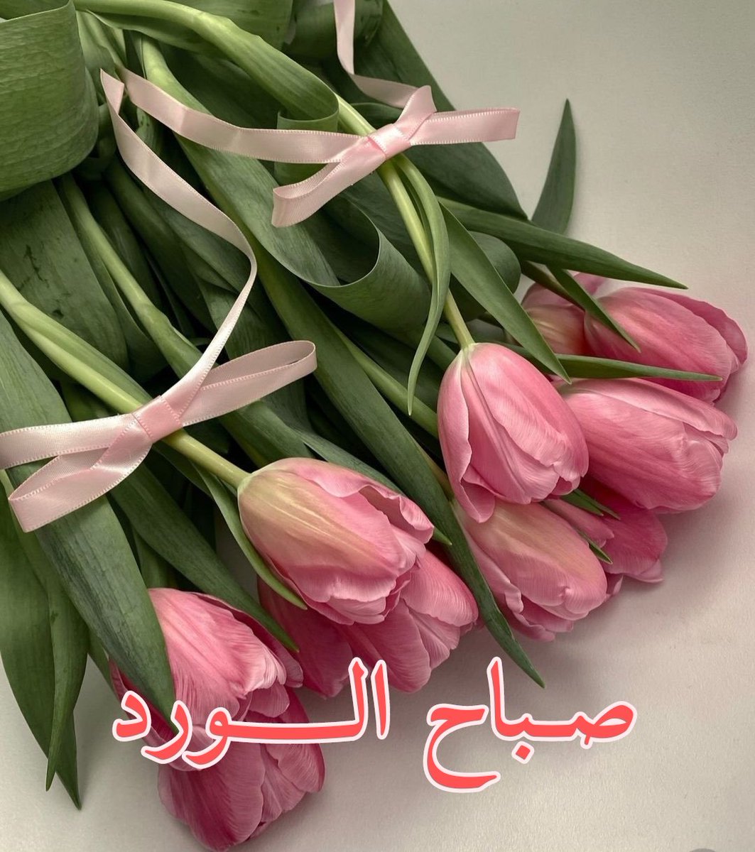 #صباح_الخير_والحب_والسلام
#صباح_الأشياء_المُشرقة 
#صباح_الأشياء_المُشرقة 
.
.
صباح الخير لمن يمنحون صباحنا نكهةً مختلفةً ..للأصدقاء الأنقياء للأحبةِ الأوفياءِ لكل من يجعلنا نؤمن أن الدنيا ما زالت بخير

‌ صباح الخير والسعاده ⁩    
‌ صباح الخيرِ 🌹☕☔🤍           ⁩