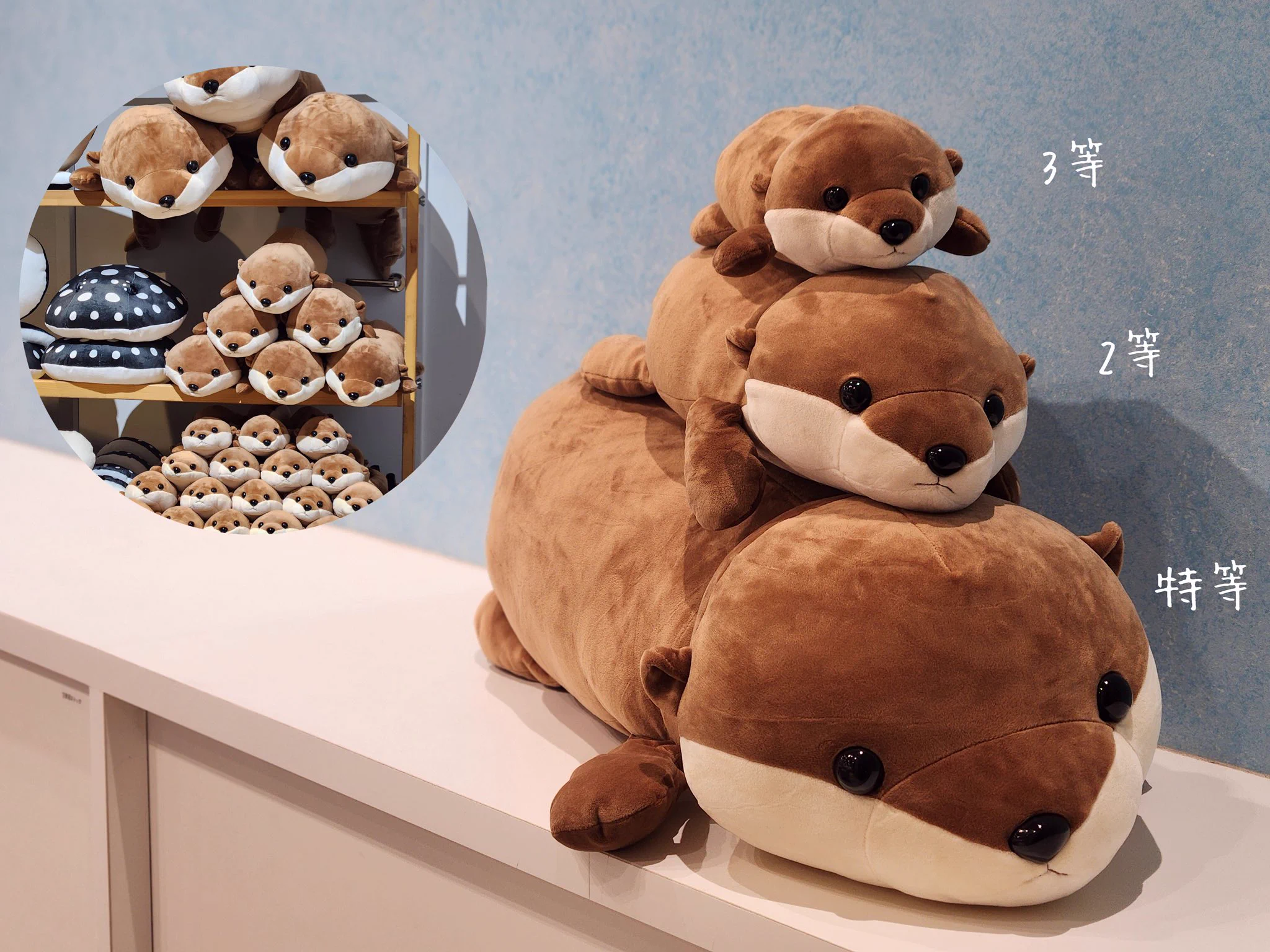 アートドール✽ぬいぐるみ✽3ジョイント✽アヒルのクワ吉✽大サイズ AQUARIUM✕ART átoa アトア ミュージアムショップ【公式】 on X