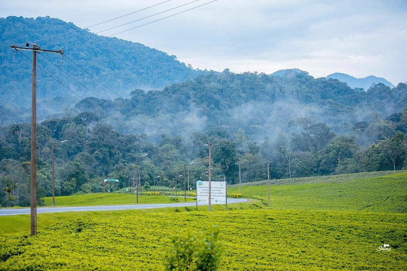 Mwaramutse neza! 

Tweeting from Kinyaga. Murakaza neza mu Kinyaga 
#VisitRwanda #kinyagaheritage