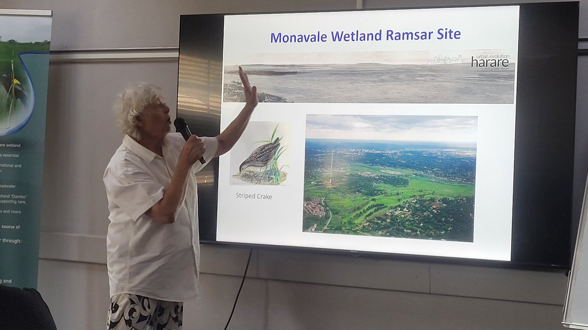 network for environmental and climate justice (@networkforenvi1) on Twitter photo Conservation Society of Monavale representative Dorothy Wakeling speaks on civil society participation in biodiversity monitoring, wetlands management and restoration.
<a href="/RamsarConv/">Convention on Wetlands</a> <a href="/cityofharare2/">City Of Harare SunshineCity</a> <a href="/EMAeep/">E.M.A</a> <a href="/ronnie80316/">ronnie chirimuta</a> <a href="/Zimparks/">Zimparks</a> <a href="/zinwawater/">ZINWA</a> <a href="/Izwi_Voices/">Izwi_Voices</a> <a href="/USEmbZim/">U.S. Embassy Harare</a> <a href="/CanEmbZimbabwe/">Canada in Zimbabwe</a> Conservation Society of Monavale representative Dorothy Wakeling speaks on civil society participation in biodiversity monitoring, wetlands management and restoration.
<a href="/RamsarConv/">Convention on Wetlands</a> <a href="/cityofharare2/">City Of Harare SunshineCity</a> <a href="/EMAeep/">E.M.A</a> <a href="/ronnie80316/">ronnie chirimuta</a> <a href="/Zimparks/">Zimparks</a> <a href="/zinwawater/">ZINWA</a> <a href="/Izwi_Voices/">Izwi_Voices</a> <a href="/USEmbZim/">U.S. Embassy Harare</a> <a href="/CanEmbZimbabwe/">Canada in Zimbabwe</a>