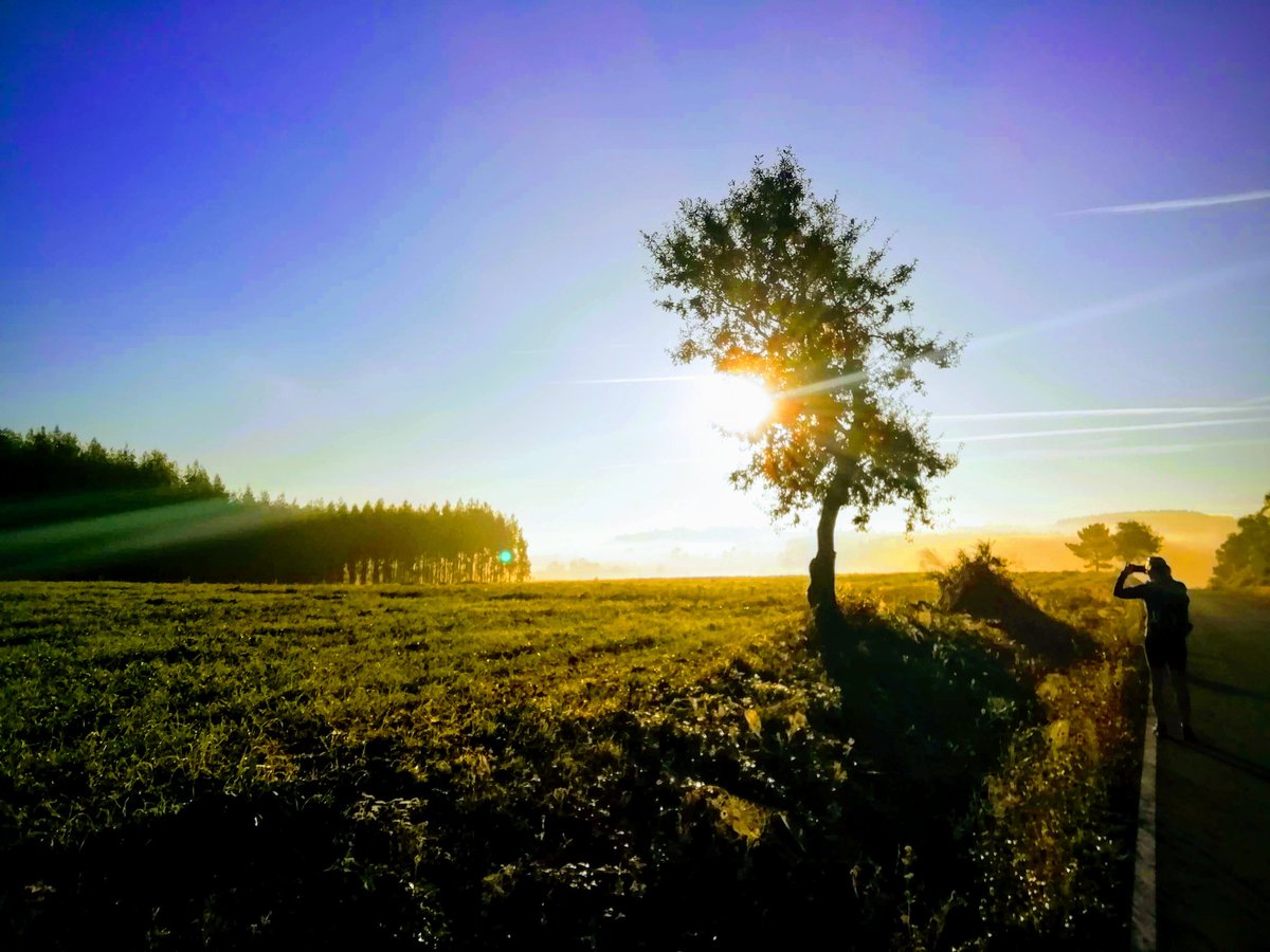 graemeultra's tweet photo. This week's #caminotuesday is changing seasons...
1. Summer on the #viapodiensis 🌞🌻
2. Spring on the #caminoportugues 🌼 🌱
3. Autumn on the #caminoingles 🍂🍁
#caminodesantiago https://t.co/0Pq2jJP8JX