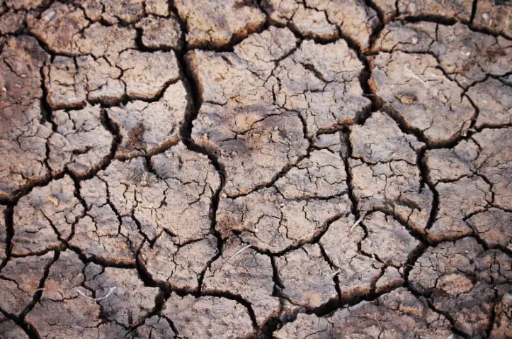 XaidaProject's tweet photo. 🆕 Paper | HOW TO SPEND MONEY FROM THE CLIMATE LOSS AND DAMAGE FUND FAIRLY AND QUICKLY

👏 Lead author: @DimCoumou (Institute for Environmental Studies, @VUamsterdam) et al. 

📰 @PNASNexus

🔎 https://t.co/EE2uy2xxGS

#climateextreme #weather #climatechange https://t.co/D2oz1bVRHF