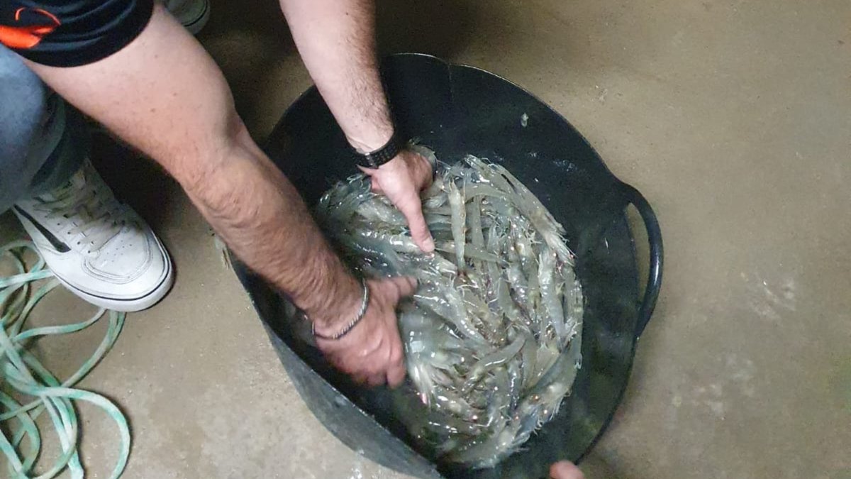 General Fisheries Commission for the Mediterranean tweet media