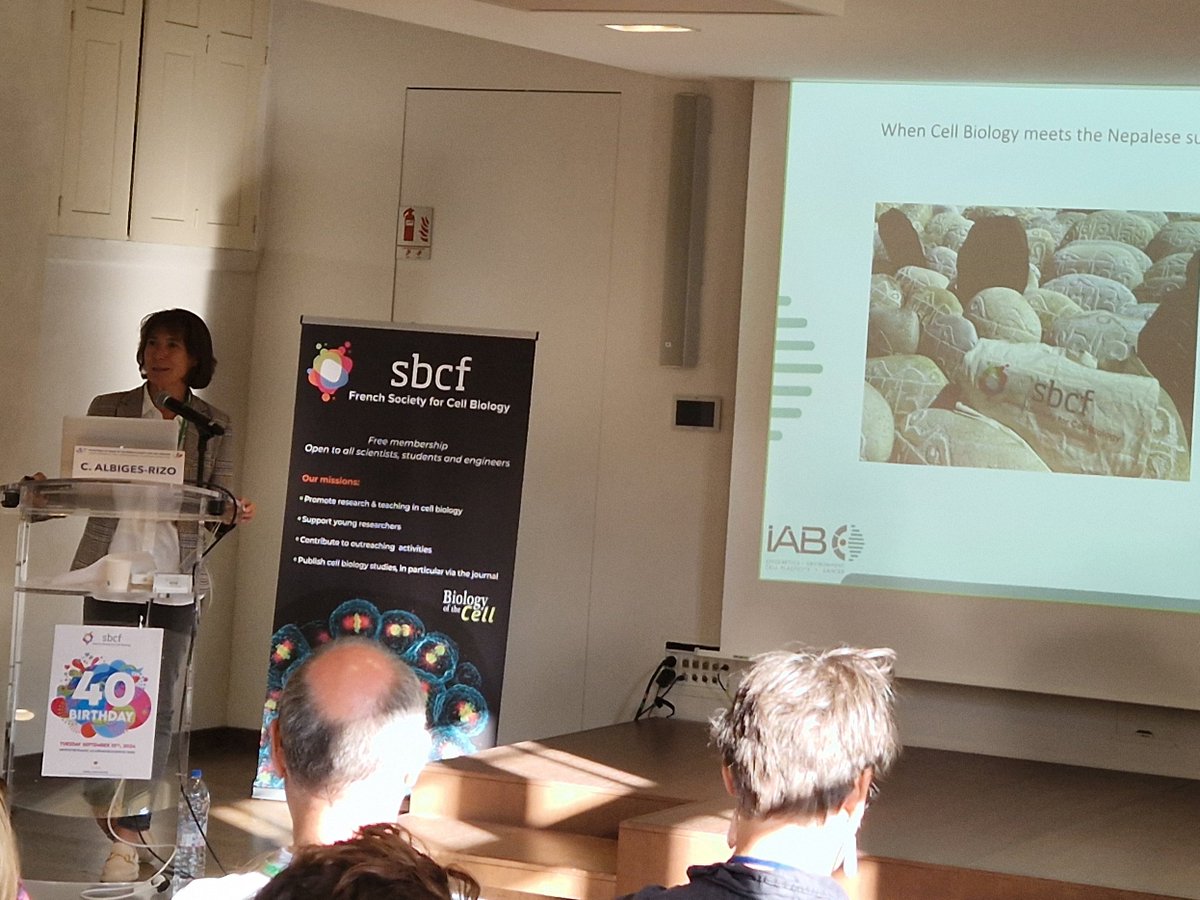 Présentation de Corinne Albiges-Rizo (<a href="/IAB_Officiel/">IAB</a>) pour les 40 ans de la SBCF (#SBCF40yo) sur la signalisation cellulaire via les intégrines et la matrice extracellulaire.