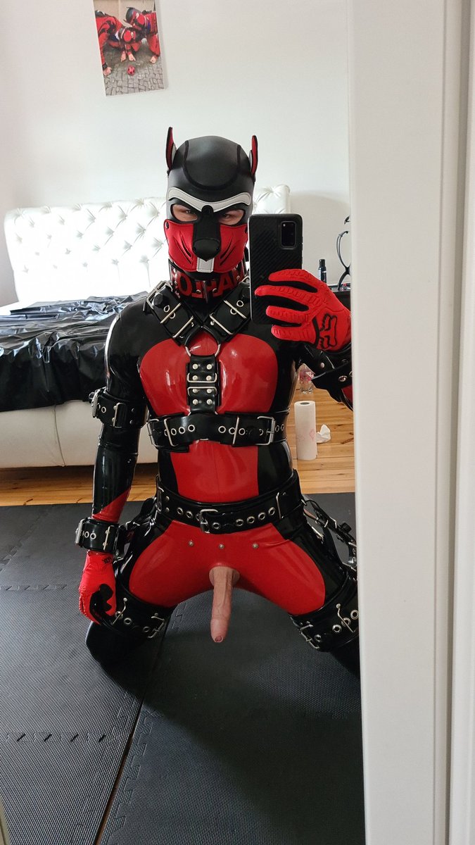 Puppy_Marlon tweet media