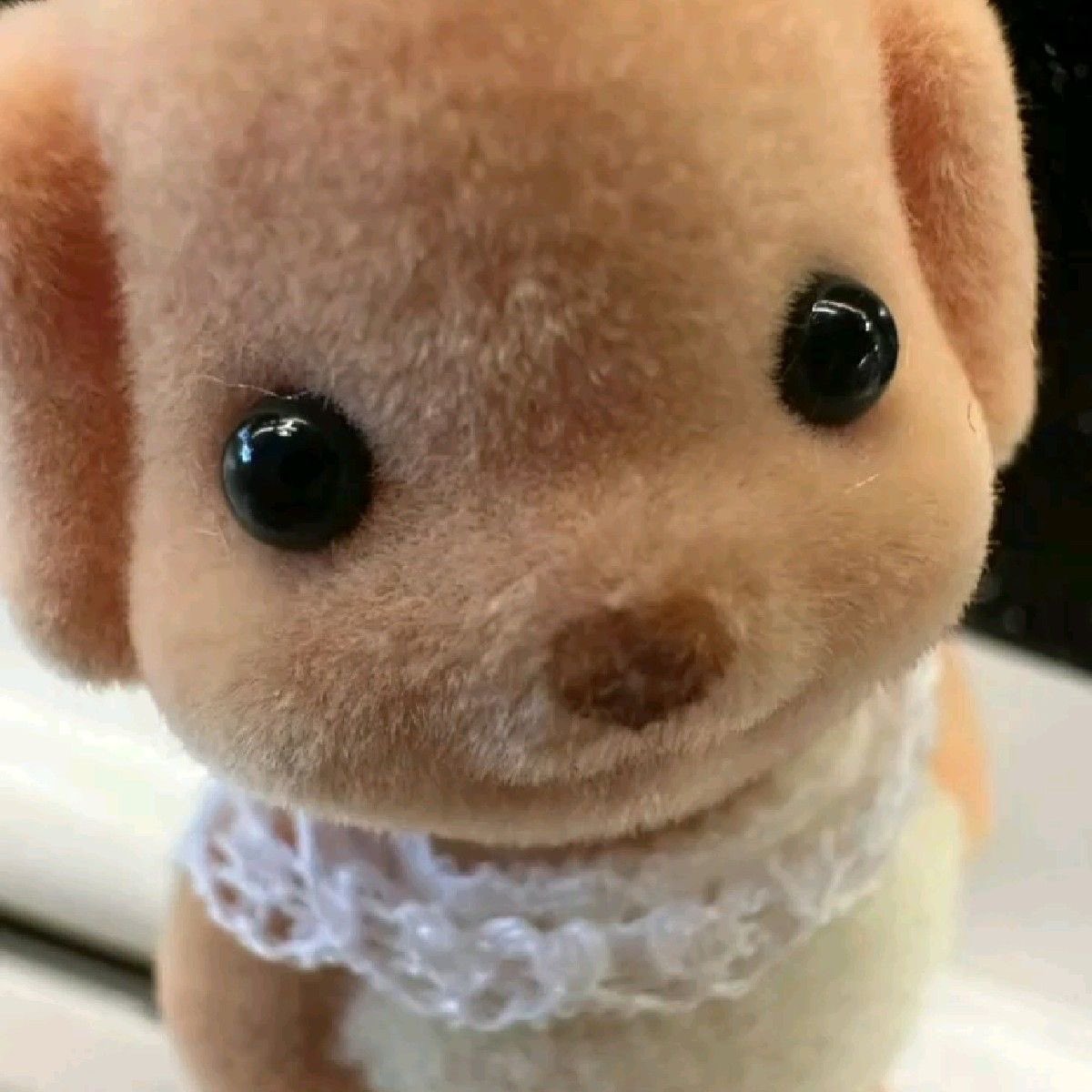 322_dnwm's tweet photo. https://t.co/1DER1pOGj2
