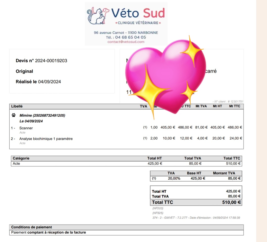 🎀 Queen Mimine, Yron et Genzo des ✨🦁 tweet media