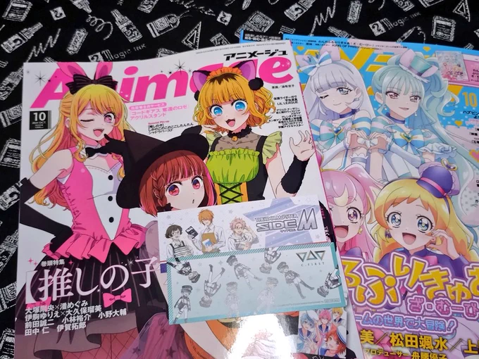 アニシャドの記事が載ってるアニメージュと わんぷりが表紙だったのでうっかりアニメディアも買ってしまった 