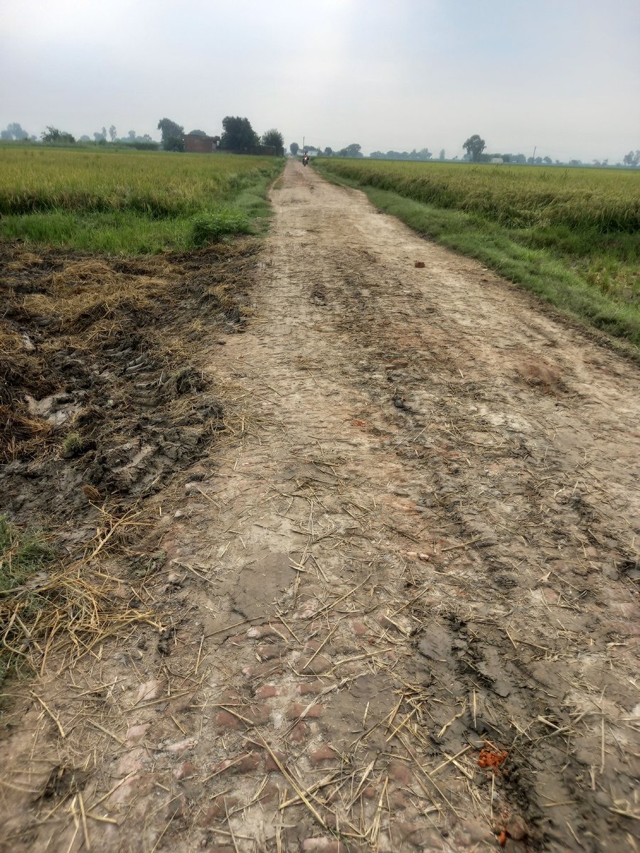 AmanJayestboy's tweet photo. #cmharyana #pwdharyana #nayabsinghsainicmharyana  सर इन फोटो दवारा मे आपका ध्यान सडक की स्थिती की तरफ दिलाना चाहता हु। सडक मे गडडे होने के कारण हमे स्कूल कोलेज मे जाने के लिये कठिनाईयो का सामना करना पडता हॅ इसीलिए आप से निवेदन है कि आप इस स्थिति का उपाय करे धन्यवाद। https://t.co/Echaqm6qrc