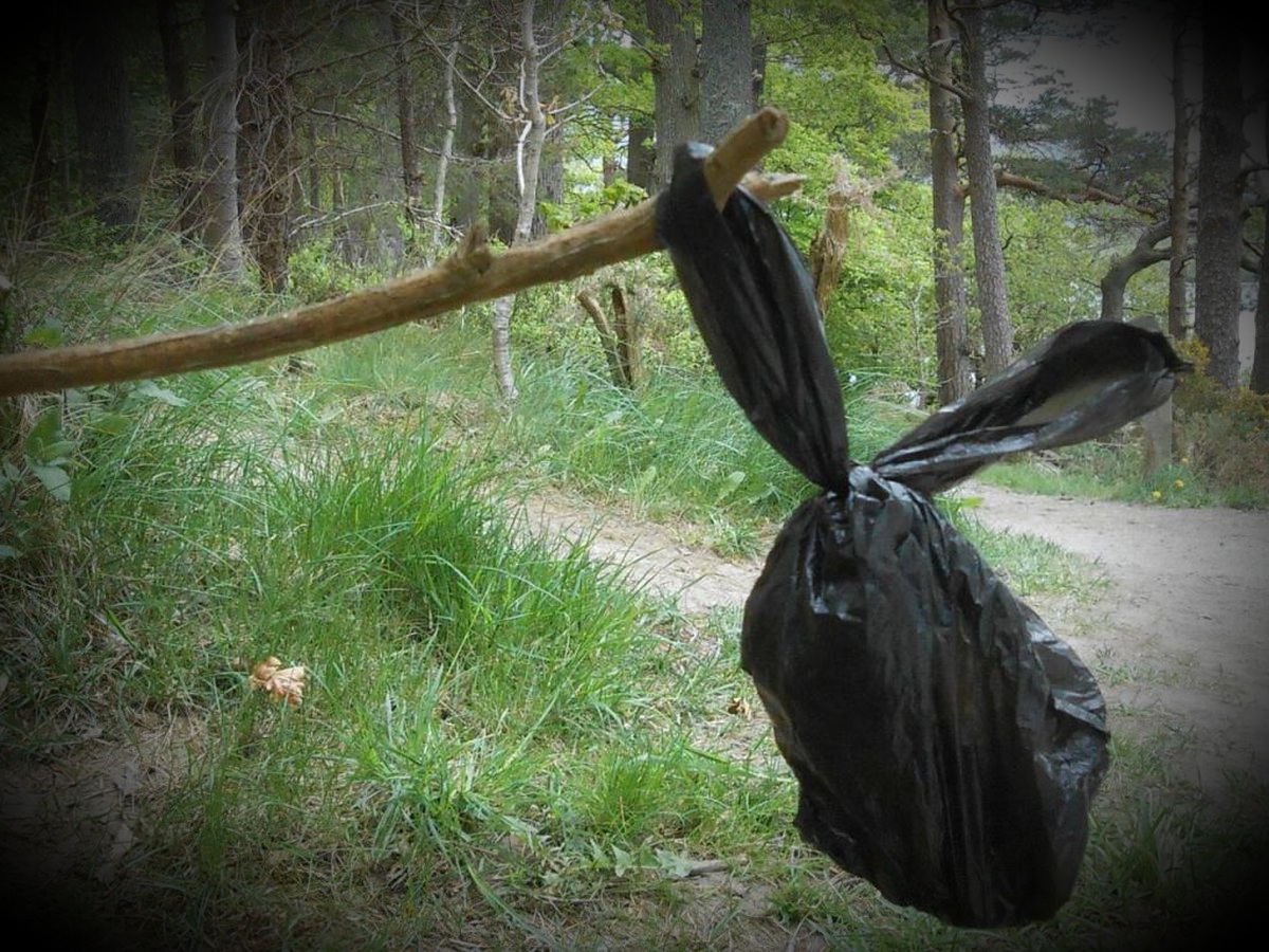 Folk that walk their dogs in the countryside and leave dog poo bags strewn behind dry stone walls or discard them in bushes, please tell me on what level do you think this is acceptable. Its not normal behaviour, you're not responsible, its disgraceful.
Conservation@althorp.com