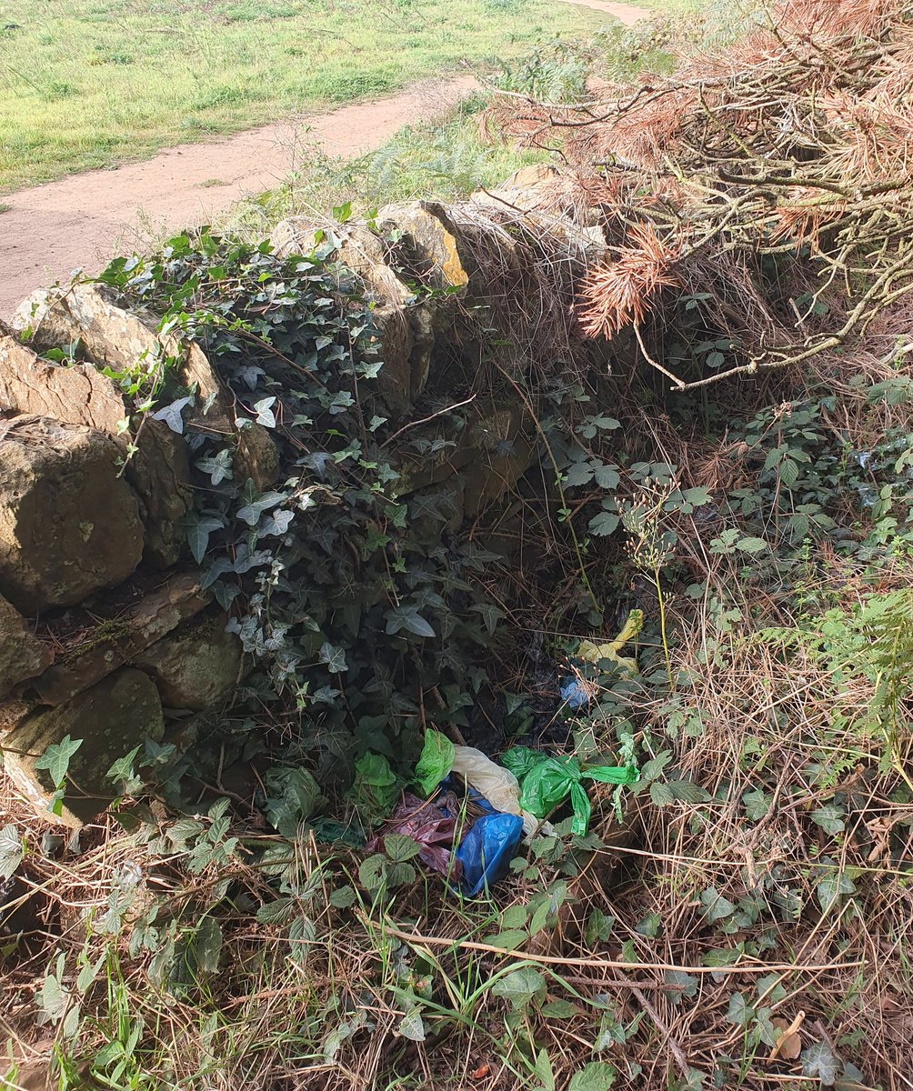 AdeysAlthorp's tweet photo. Folk that walk their dogs in the countryside and leave dog poo bags strewn behind dry stone walls or discard them in bushes, please tell me on what level do you think this is acceptable. Its not normal behaviour, you're not responsible, its disgraceful.
Conservation@althorp.com https://t.co/X3rLYE1wc2