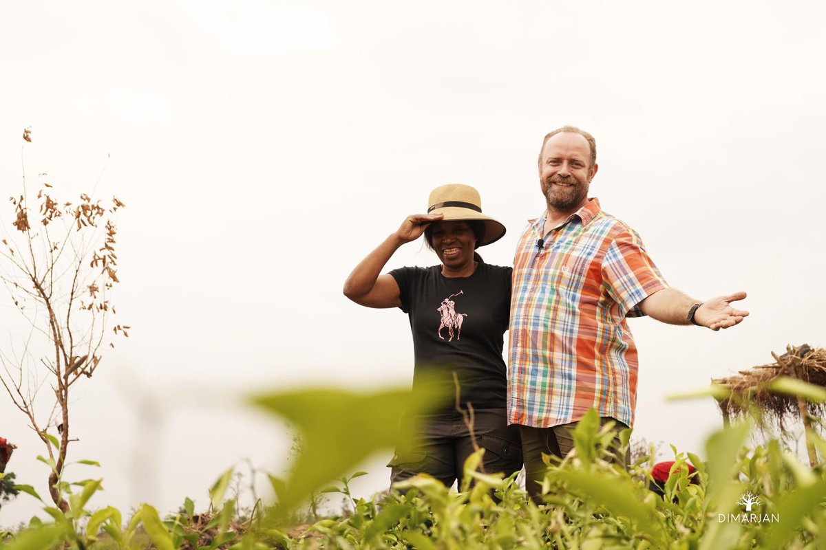 DimarjanAngola's tweet photo. On this special day, collaboration is the key to creating lasting change. By working together with local communities, we’re ensuring that our projects not only benefit the environment but also uplift the people we serve.
#Collaboration #CommunityFirst #Agroforestry https://t.co/vc1JYhWmYw