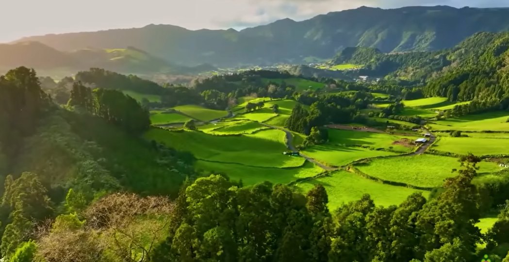 Nhìn xanh mướt mắt quá nhỉ