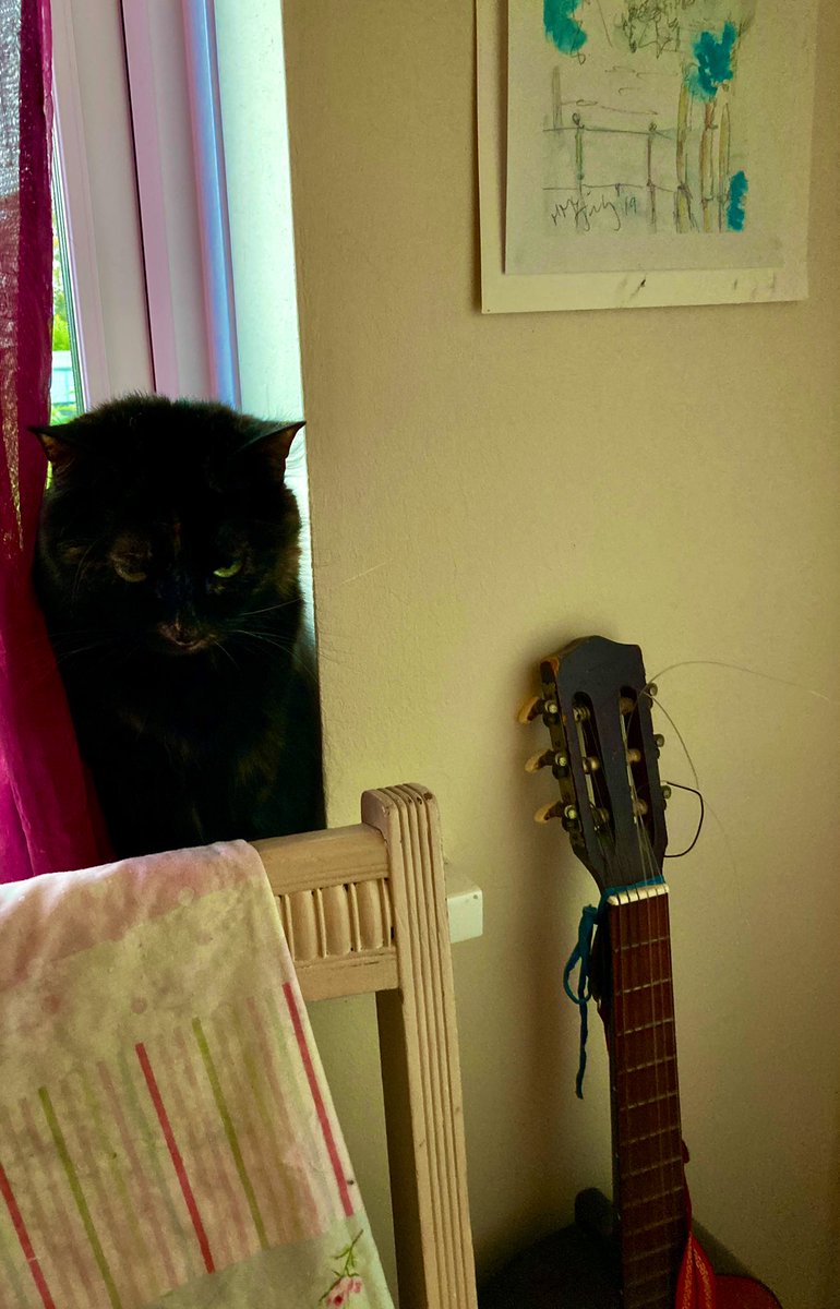 madeleinemaste4's tweet photo. Stormy weather
And feels like a
going back to bed
day a la Pip #Squeaka x https://t.co/onSkkrcbWF