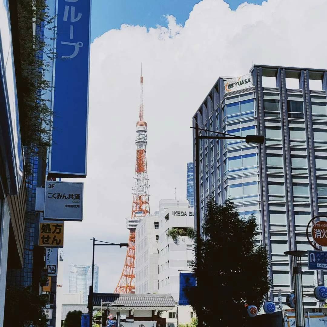 Y27171799's tweet photo. Food in Tokyo https://t.co/6wqDky0aHo