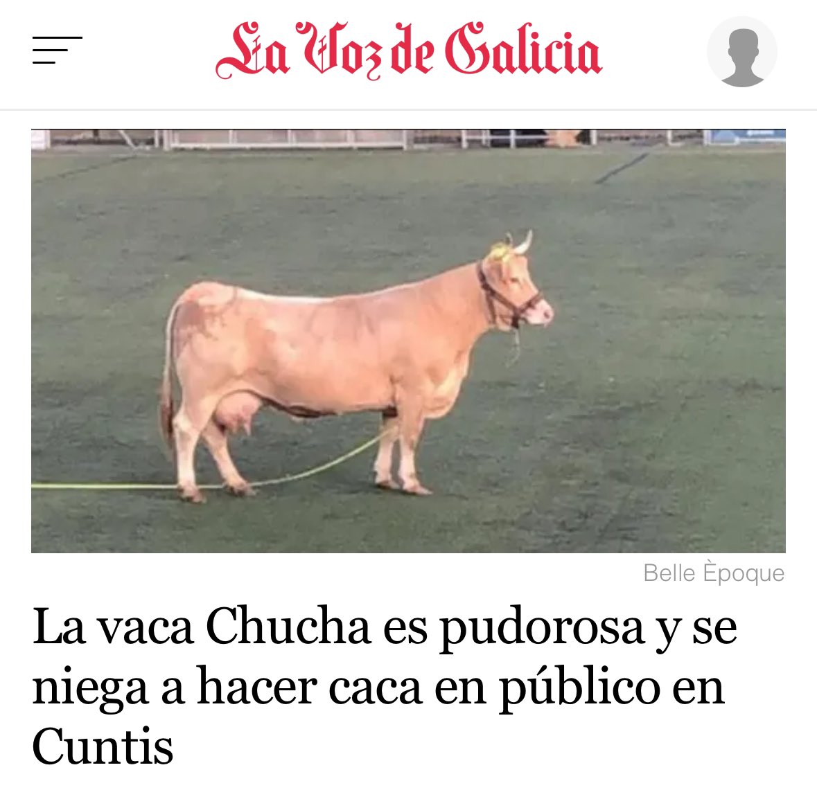 denny_horror's tweet photo. meanwhile in Galicia… https://t.co/aBzWVHUchO