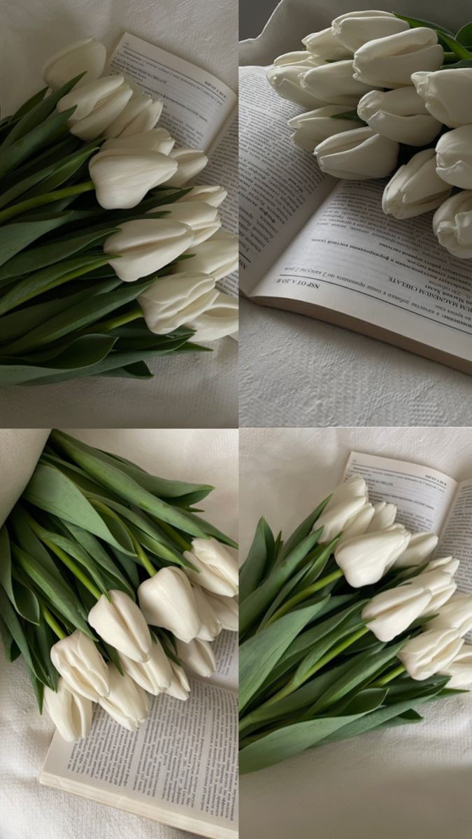 White tulips