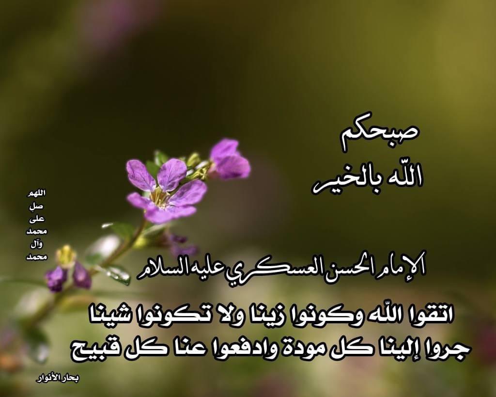 علي المرتضى (@hy19_ali) on Twitter photo 