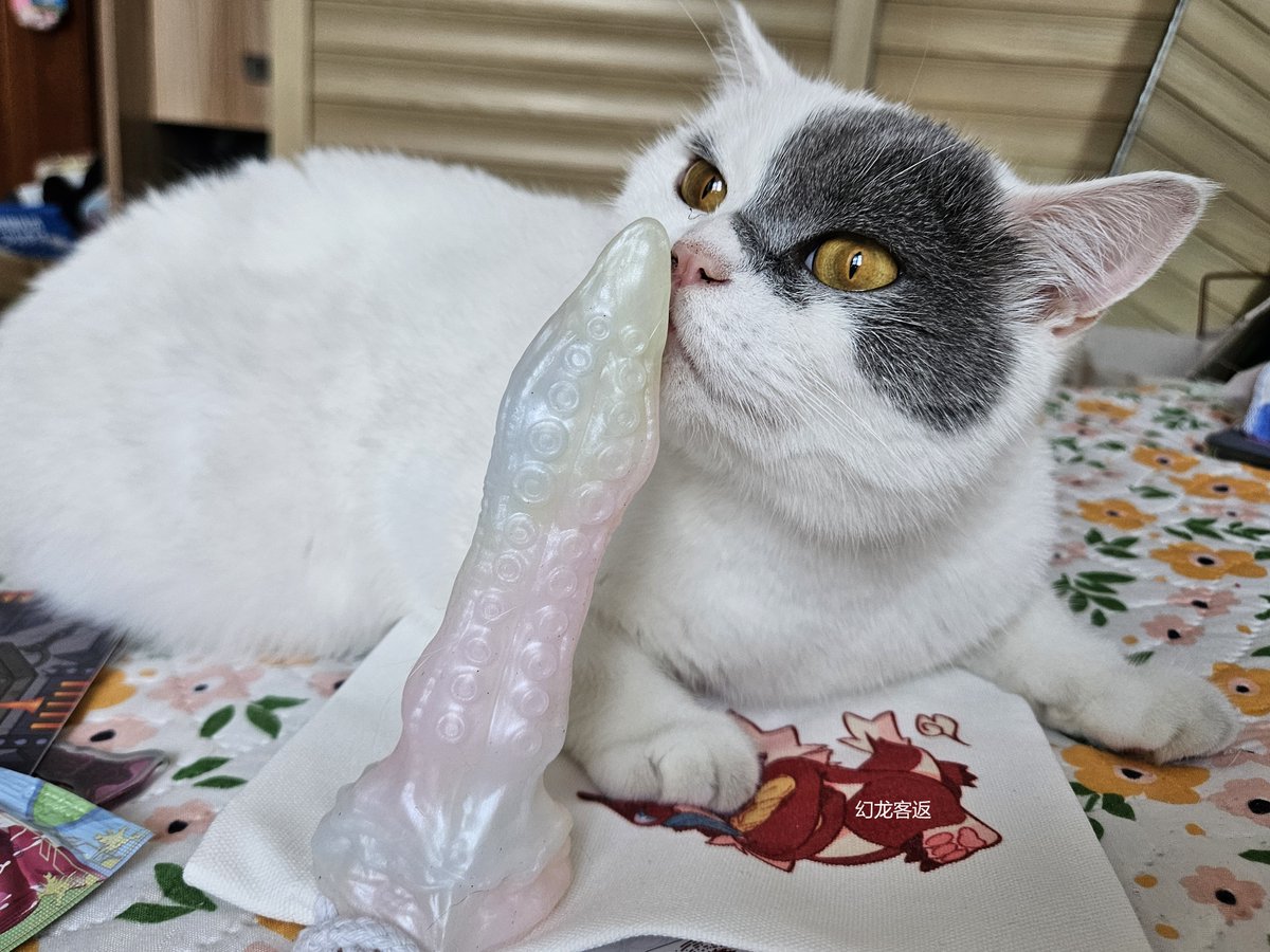 猫猫渊 https://t.co/2MI8aeXDxS