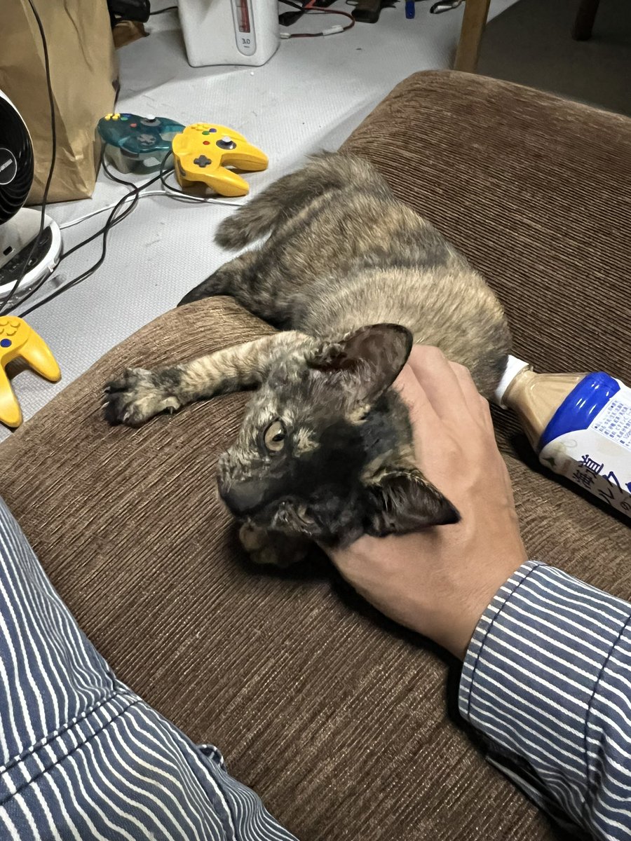 wyvern132's tweet photo. 事務所侵入禁止やで https://t.co/Joi3vE0NxH