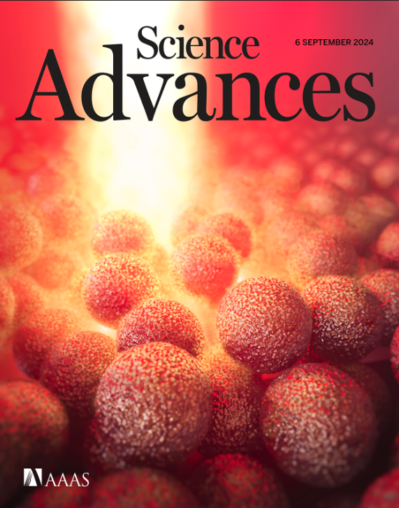 Prisma EU Project tweet media