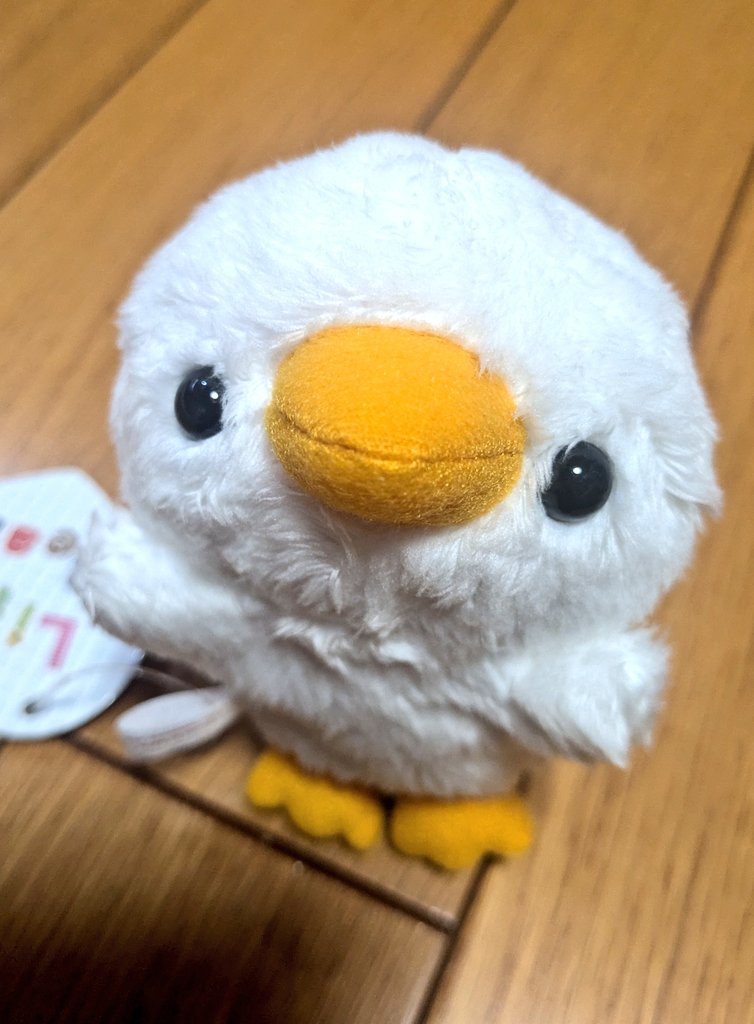 panchan_piichan's tweet photo. きゅるん🪿✨
アヒルさんのぬいぐるみは初お迎えかも？！😍
今日の疲れ吹っ飛びましたー！！！
#リトルビーンズ
#littlebeans
#tstadvance https://t.co/RjWOmZbuIl