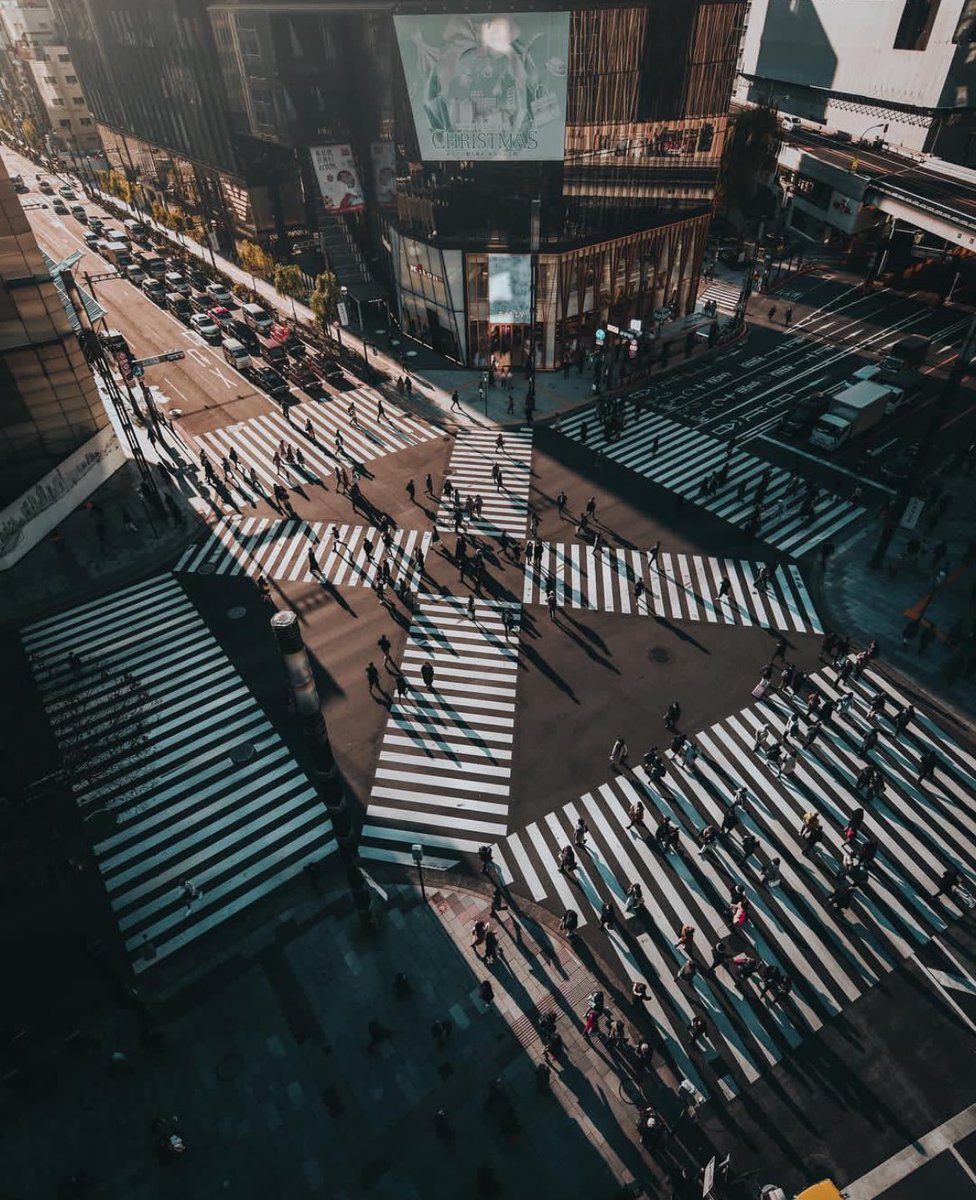 theglobalphotocommunity tweet media