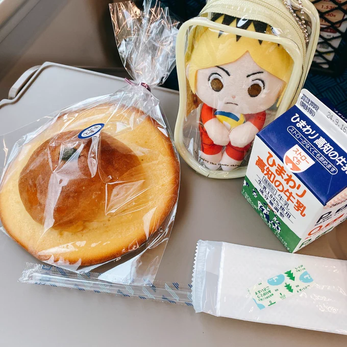 帰るぜよ