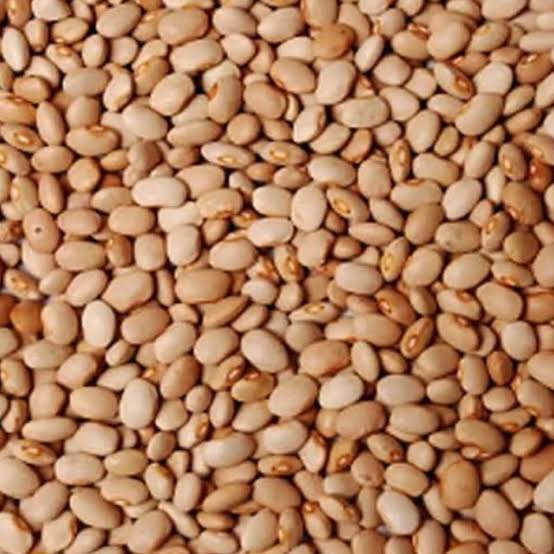 Beans seed is available for planting,
45days lifespan,
#4,500 per kg,
Delivery is Nationwide.